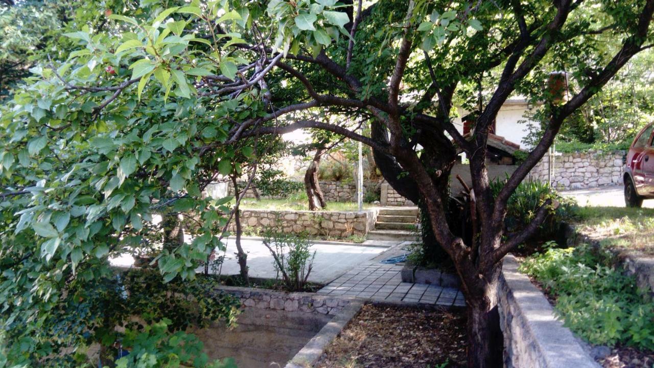 Apartman "Tartaruga" Луково Экстерьер фото